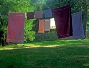 Laundry, Cape Cod