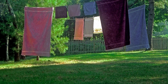 Laundry, Cape Cod