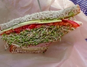 Sandwich in Sedona