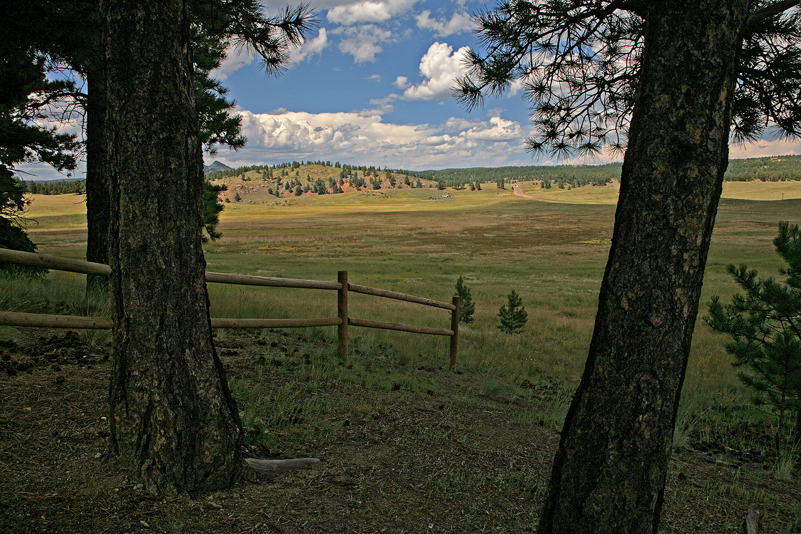 Florissant Fossil Beds National Monument