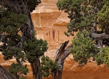 Head of Sinbad Pictograph