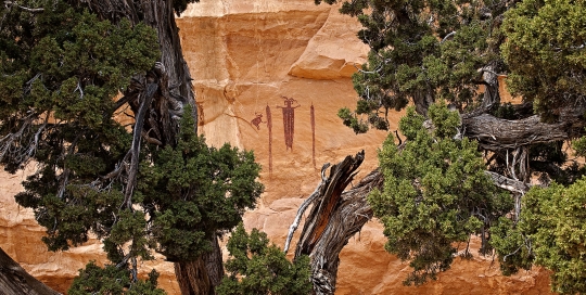 Head of Sinbad Pictograph