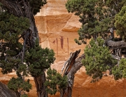 Head of Sinbad Pictographs