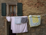 Volterra Wash